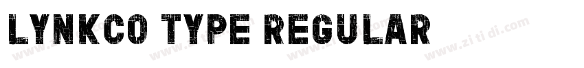 Lynkco Type Regular字体转换 Lynkco Type Regular字体转换